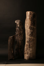 Large Polished Petrified Wood Sculpture