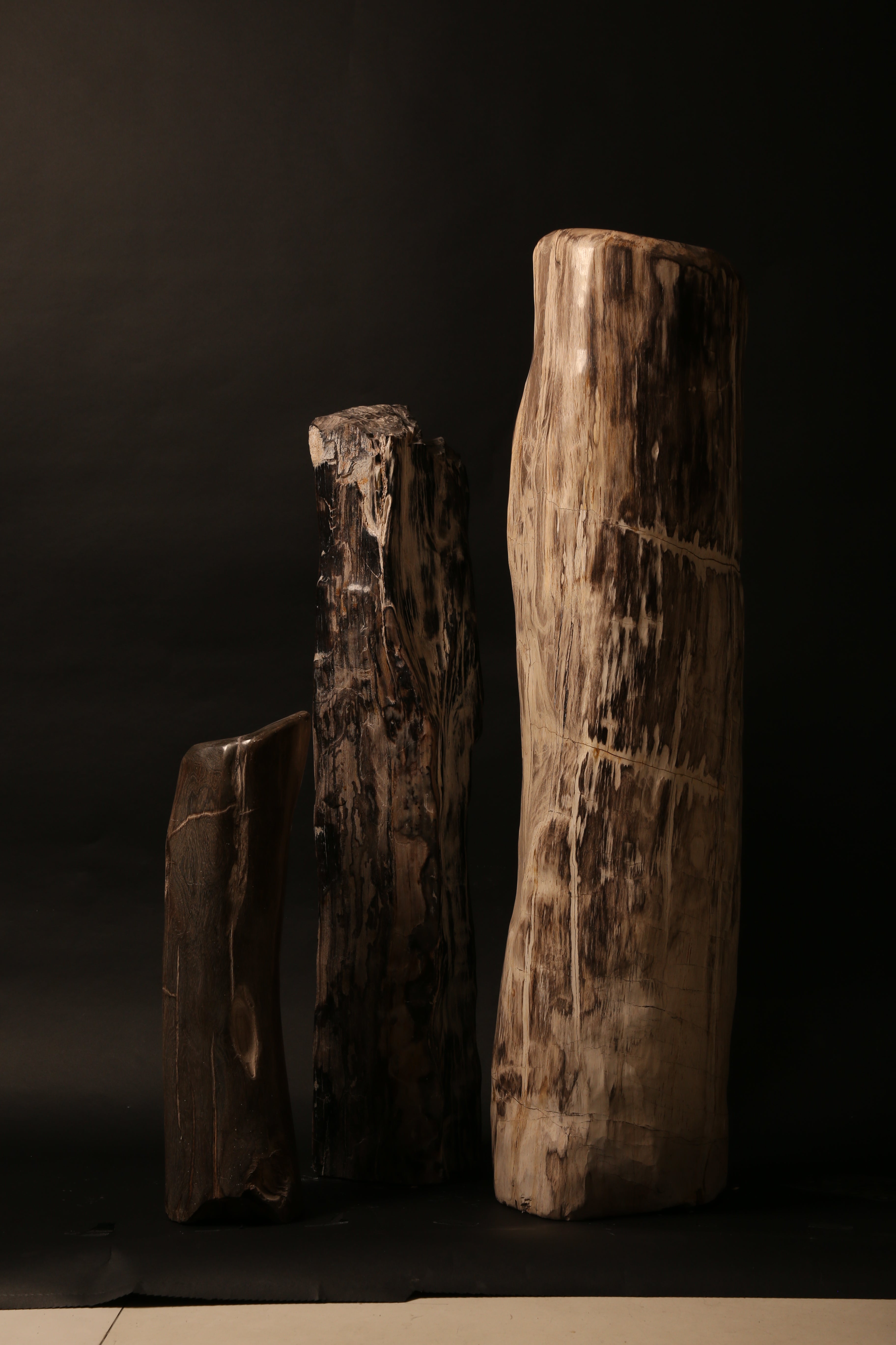 Large Polished Petrified Wood Sculpture