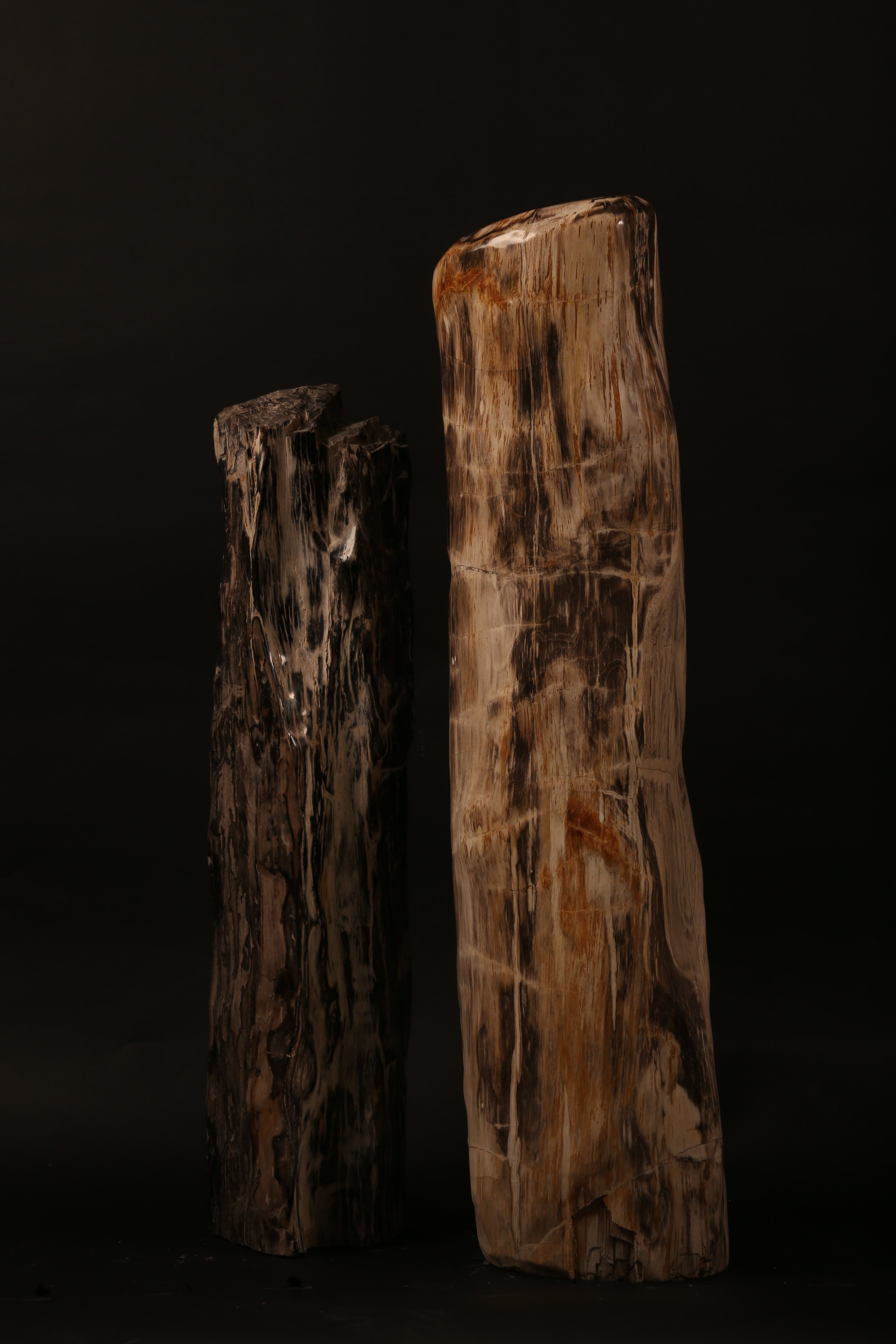 Large Polished Petrified Wood Sculpture