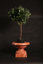 Rossa Verona Marble Decorative Urn on Pedestal Base