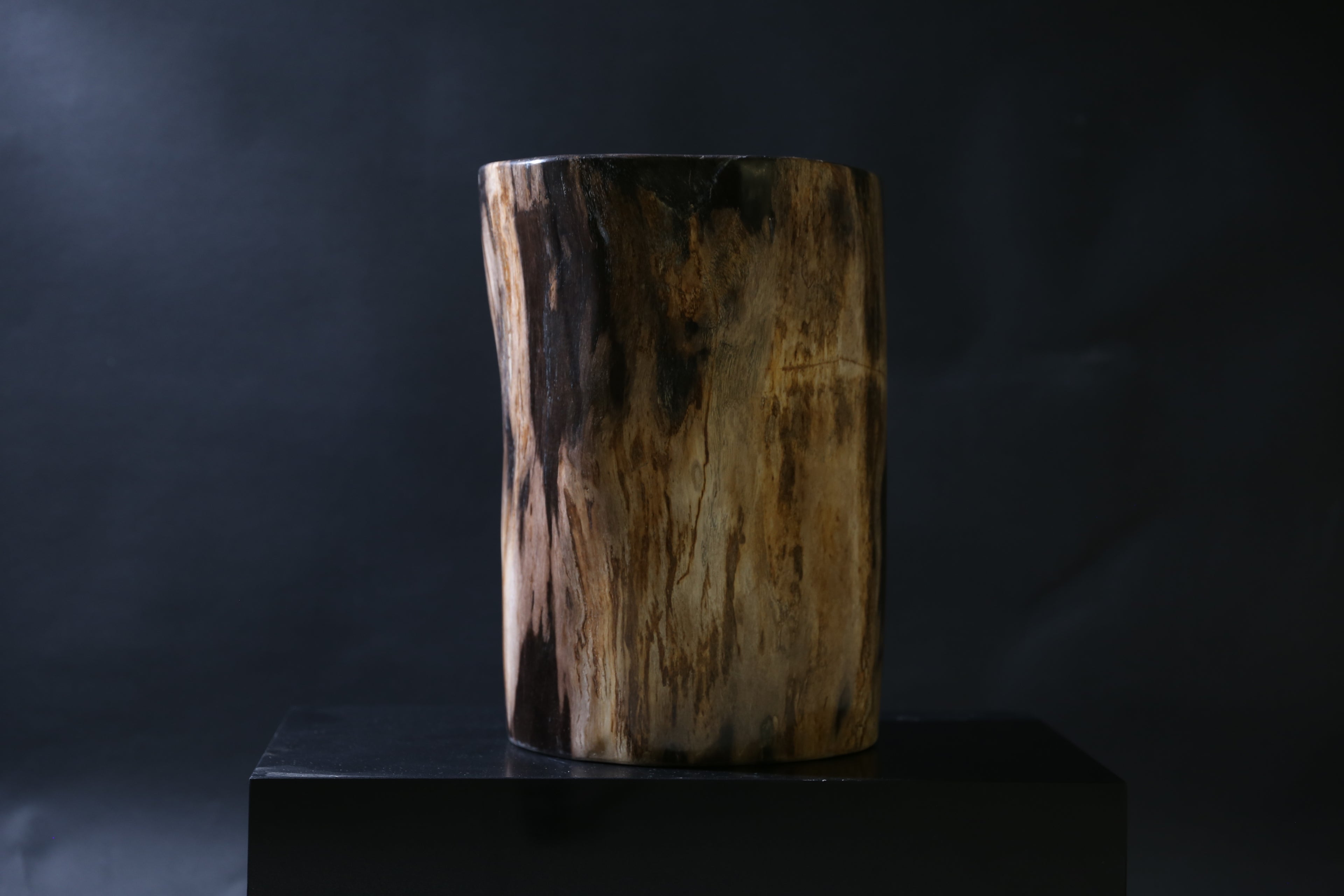 Elegant Petrified Wood Side Table