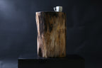 Elegant Petrified Wood Side Table