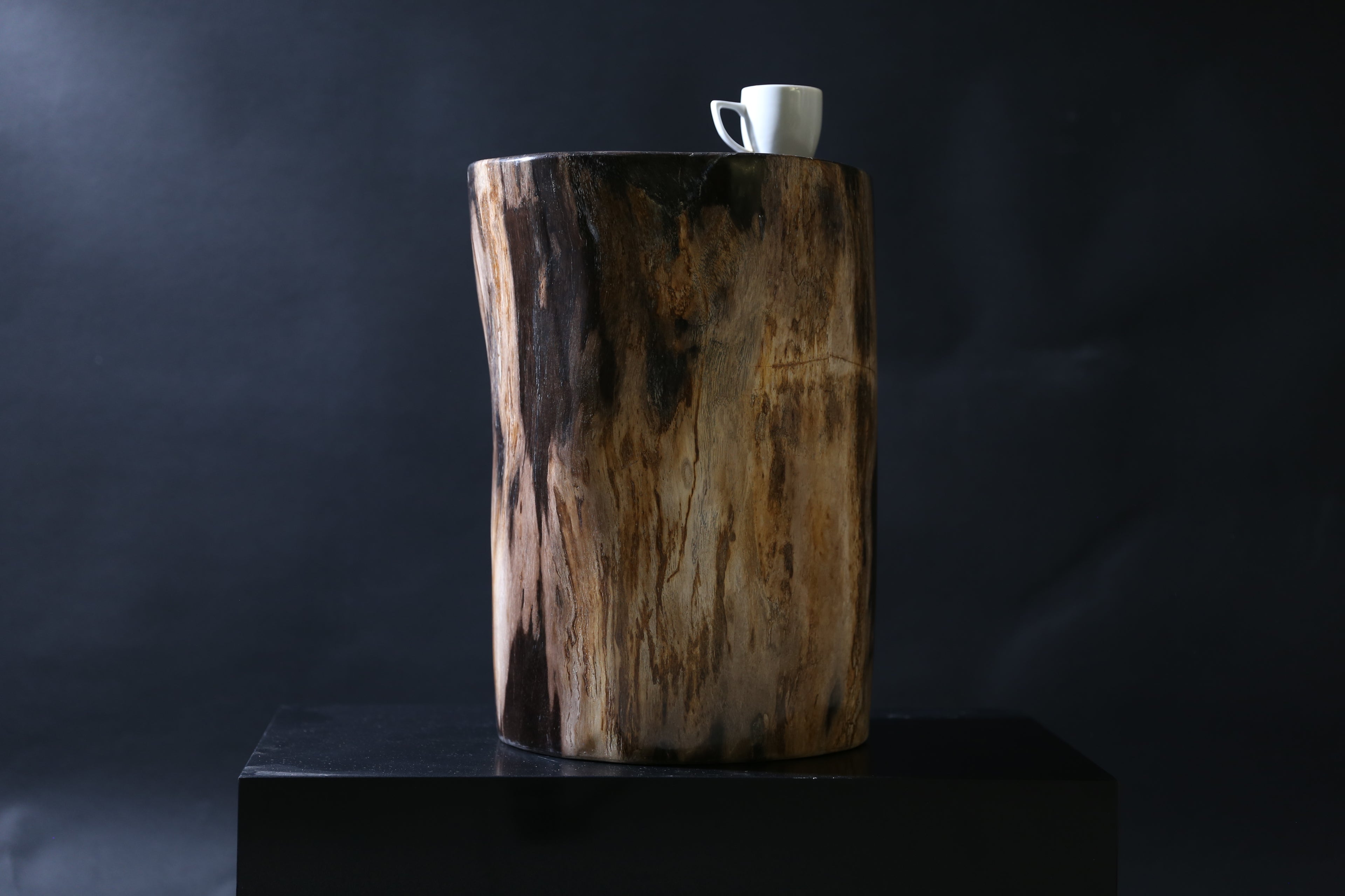 Elegant Petrified Wood Side Table