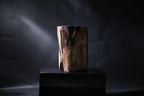 Elegant Petrified Wood Side Table
