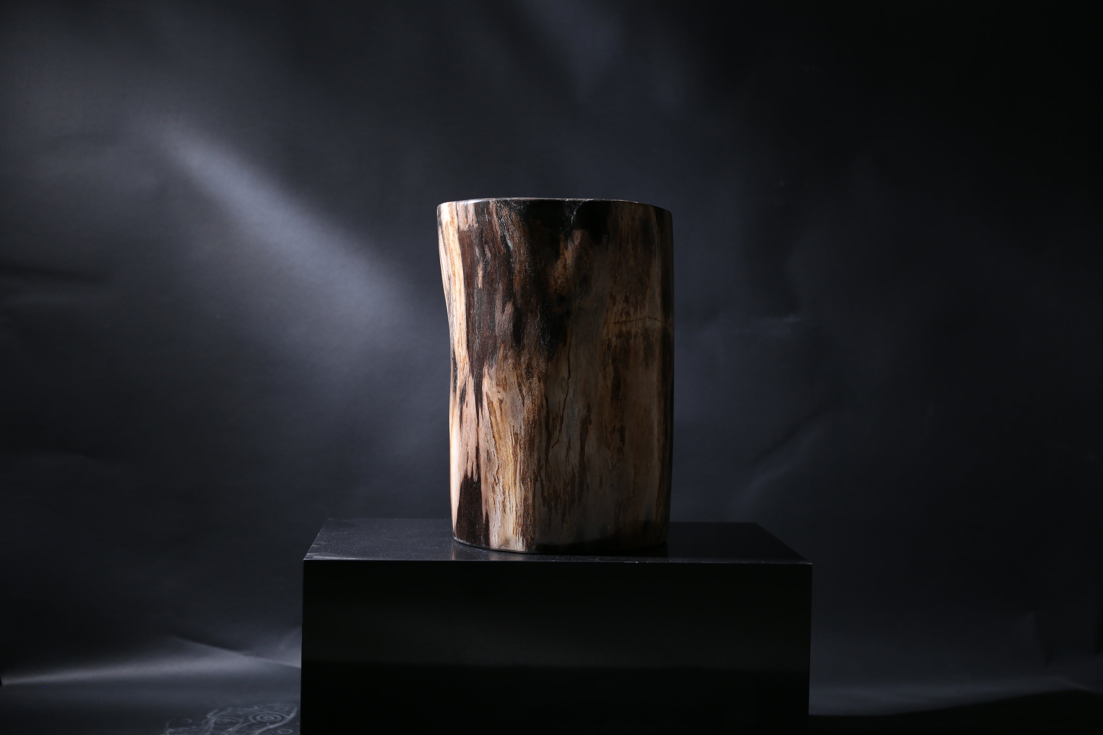 Elegant Petrified Wood Side Table