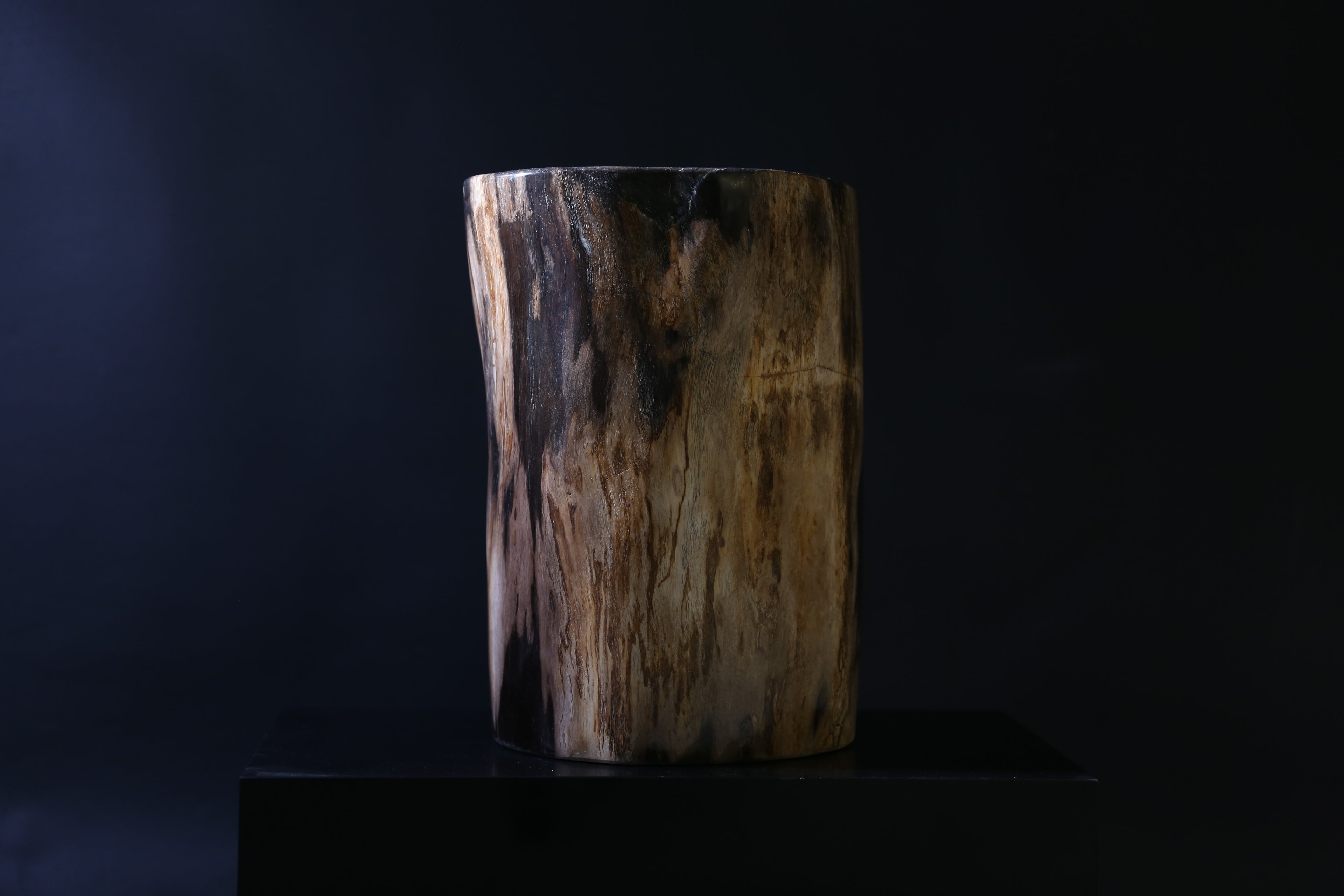 Elegant Petrified Wood Side Table