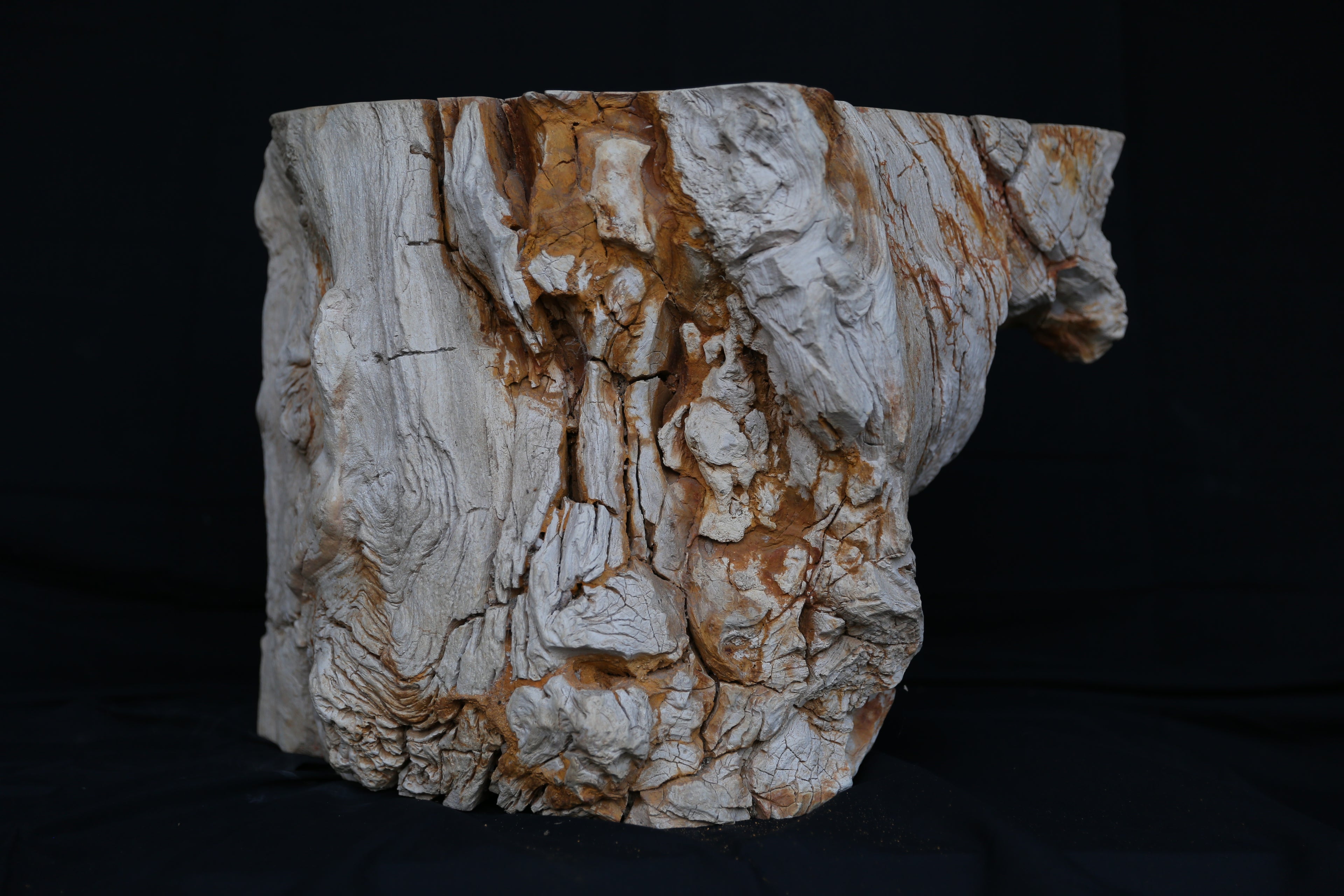 Stunning Petrified Wood Coffee Table
