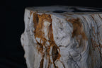 Stunning Petrified Wood Coffee Table