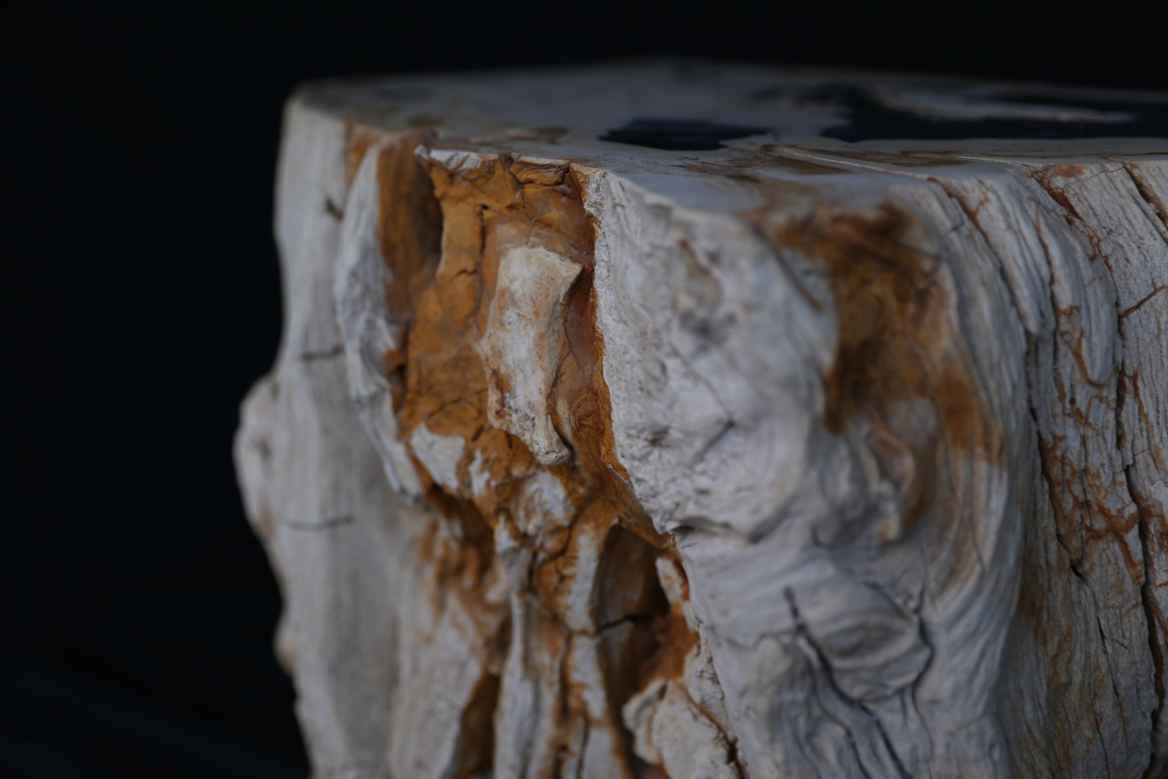 Stunning Petrified Wood Coffee Table