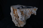 Stunning Petrified Wood Coffee Table