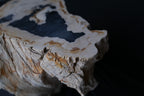 Stunning Petrified Wood Coffee Table