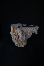 Stunning Petrified Wood Coffee Table