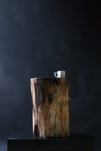 Elegant Petrified Wood Side Table