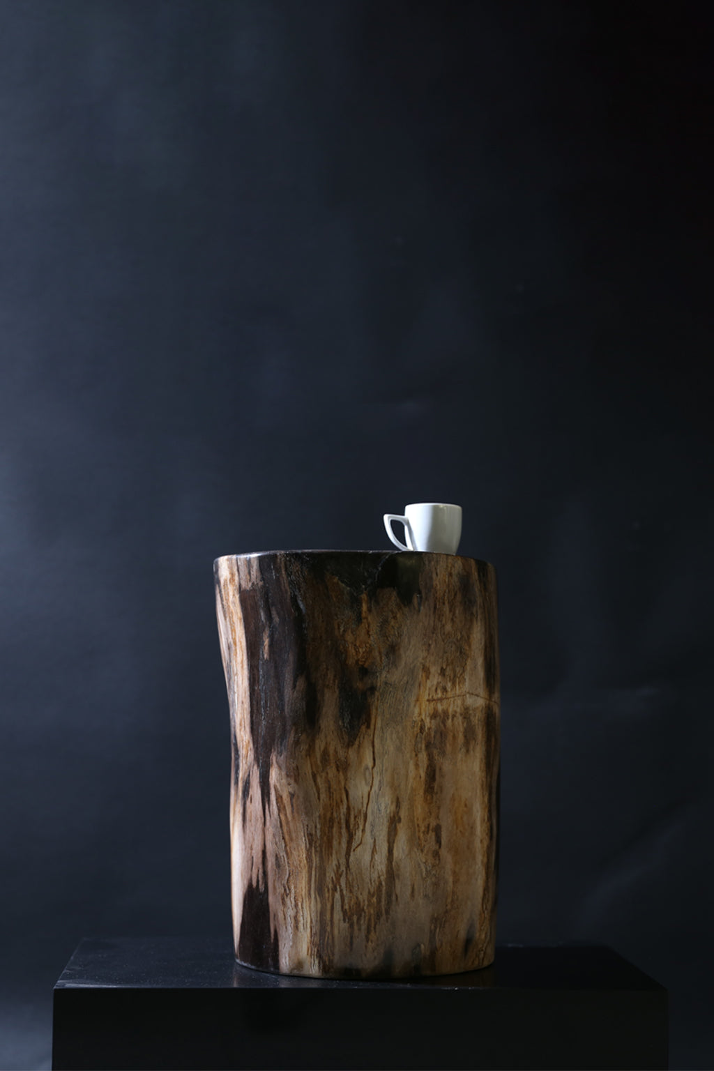 Elegant Petrified Wood Side Table